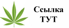 Купить наркотики в Новочебоксарске